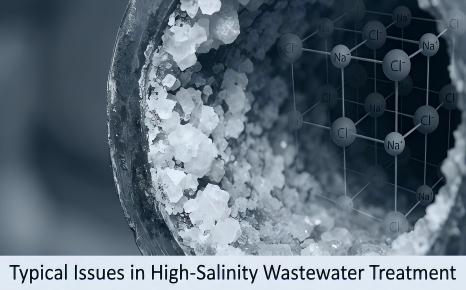 Typical Issues in High-Salinity Wastewater Treatment